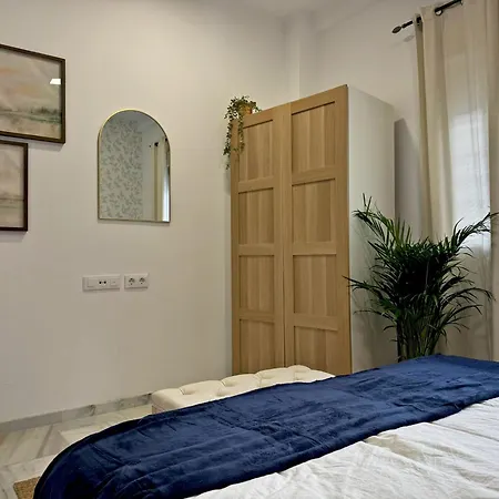 Clavel - Ole Solutions Jerez de la Frontera